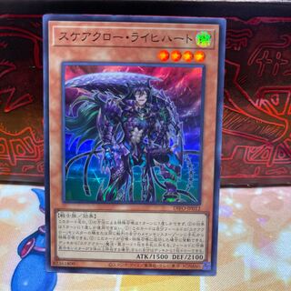 No.708 P Shop Scarecrow Reichhardt [Sue