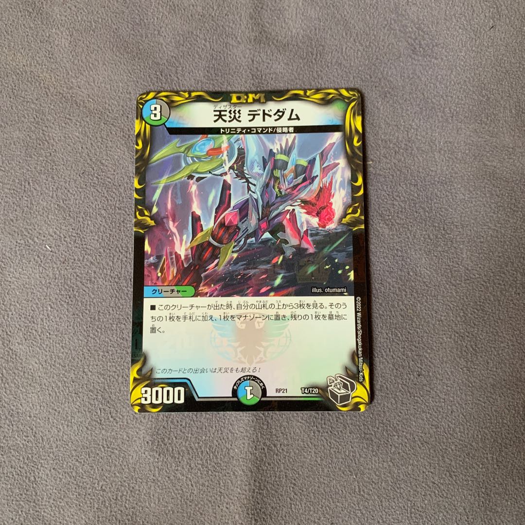 Natural Disaster Dedham