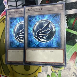 Black Feather Counter 2 pieces