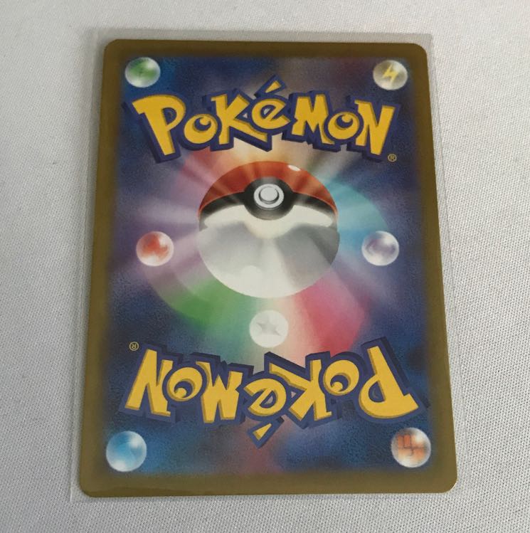 hawksbill turtle (Eretmochelys imbricata)