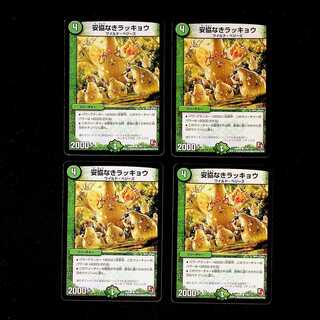 DM Uncompromising Rakkyo Common, set of 4 (2)