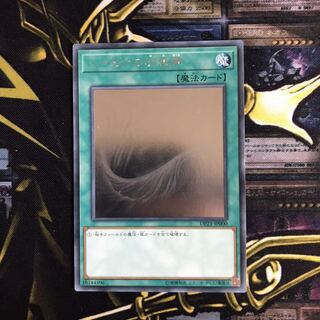 ハーピィの羽根帚 ホロ