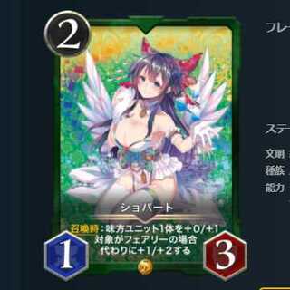 2枚セット スピ有 ショパート