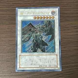 BF-Armored Wing Relief