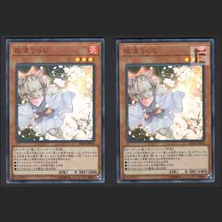 Ash Blossom & Joyous Spring [Near Mint] Ultra Rare Set of 2 /Managed by MY0207