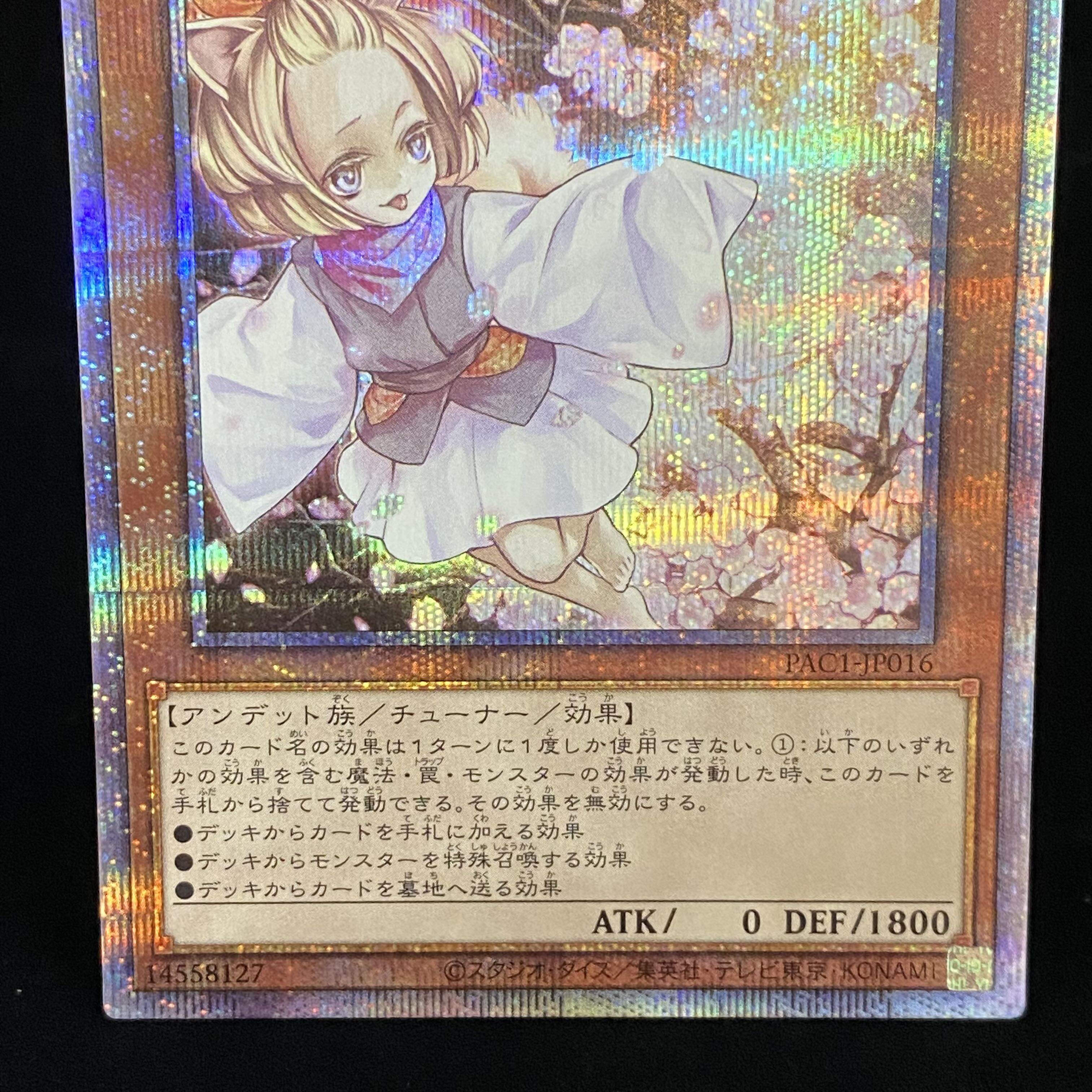 Ash Blossom & Joyous Spring Prismatic Secret Rare PAC1-JP016