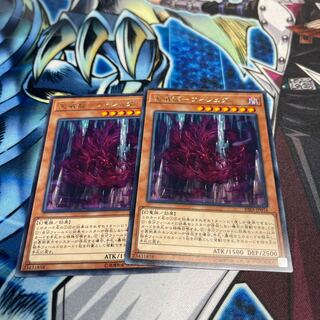 Tenwei Ryu - Vishda Rare 2 pieces