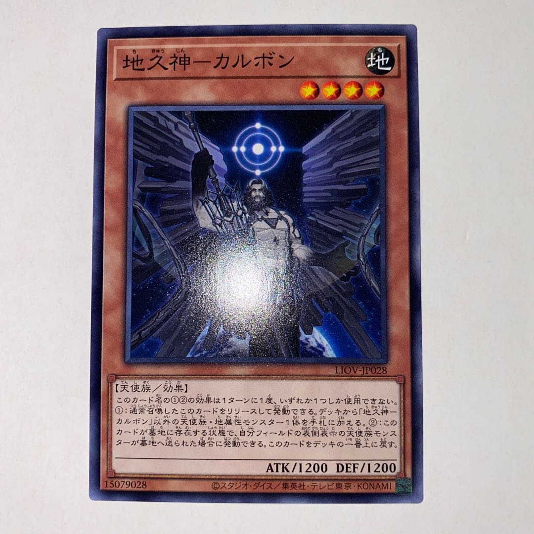 地久神-カルボン ノーマル JP028
