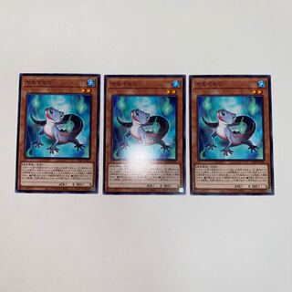 ヤモイモリ ノーマル JP029