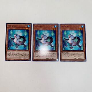 ヤモイモリ ノーマル JP029