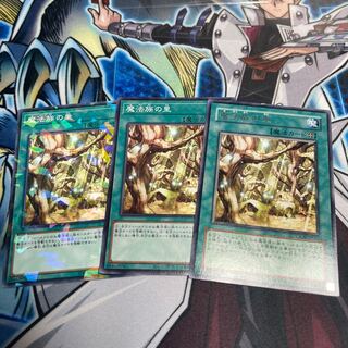 Secret Village of the Spellcasters 3 copies