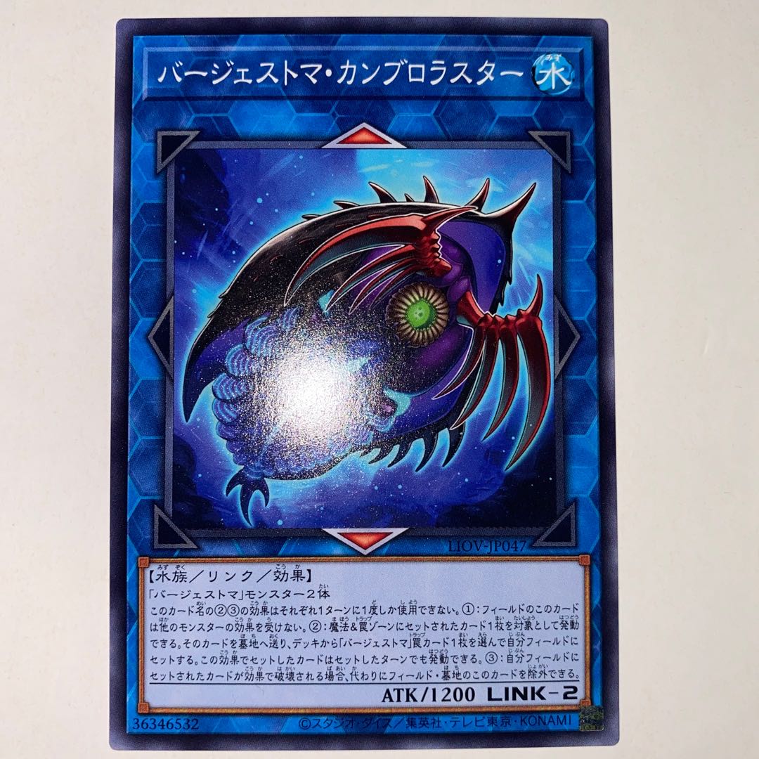 Paleozoic Cambroraster Normal JP047