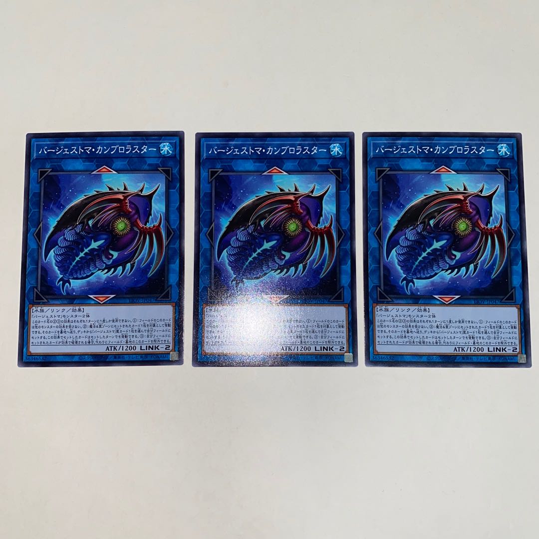 Paleozoic Cambroraster Normal JP047