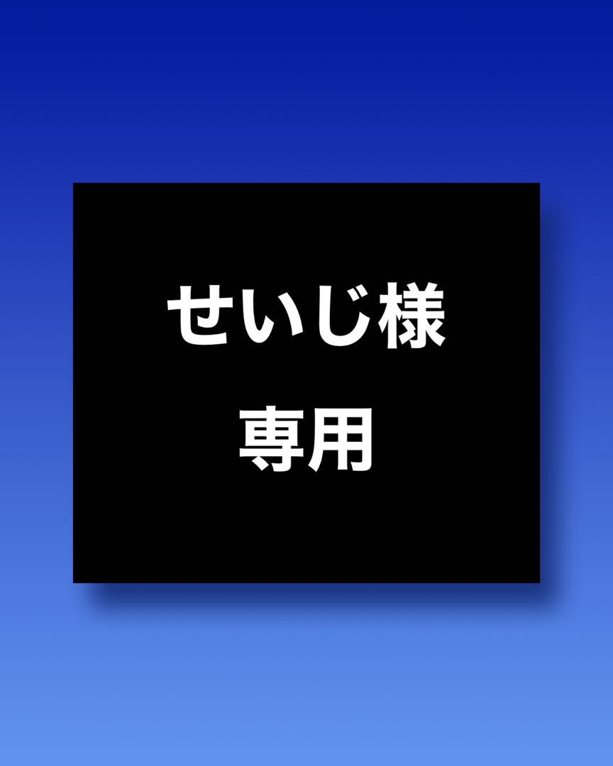 せいじ様専用　　　100円オリパ