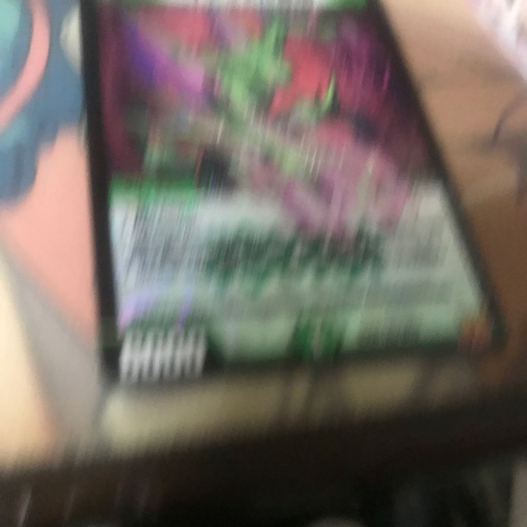 Infelix star tree (species of sedge, Infelix infertilis)