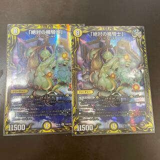 Knight of the Shield of the Absolute."