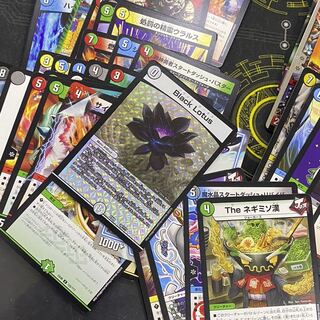 ブラックロータス