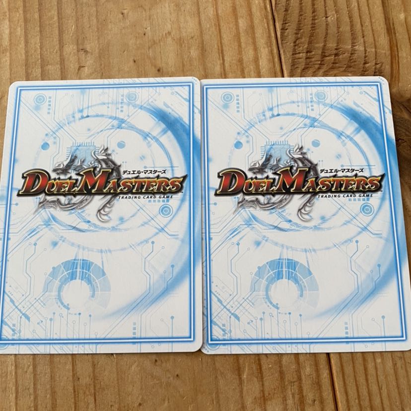 アカカゲレッドシャドウ2枚セット