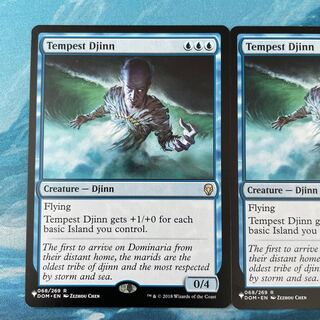MTG 2 Tempest Djinn