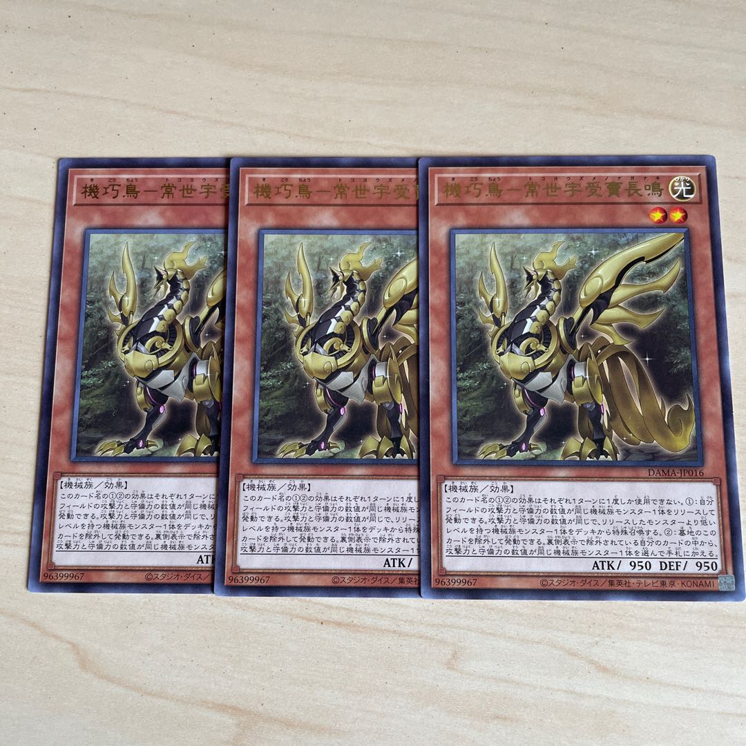 Kikkaku-tori - Jouzei-Ukemochonaru♧1733