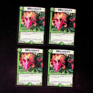 DM 突撃ウツボカズラ コモン 4枚セット①