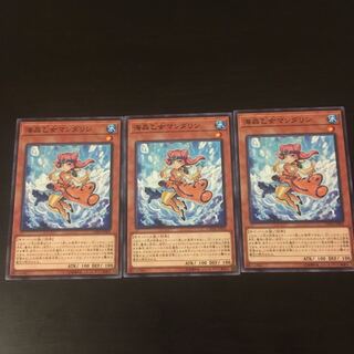 海晶乙女 マンダリン 3枚