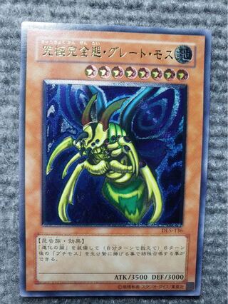 Exclusive for Mr. Hiroki Snubbull Eyes Great Moss and 8 other items in total