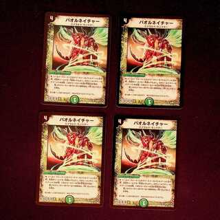 DM Paol Nature Rare, set of 4 (1)