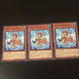 海晶乙女 マンダリン 3枚