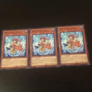 海晶乙女 マンダリン 3枚