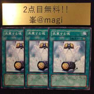 Yu-Gi-Oh! Ascending Soul Normal