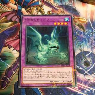 沼地のドロゴン パラレル ノーマル