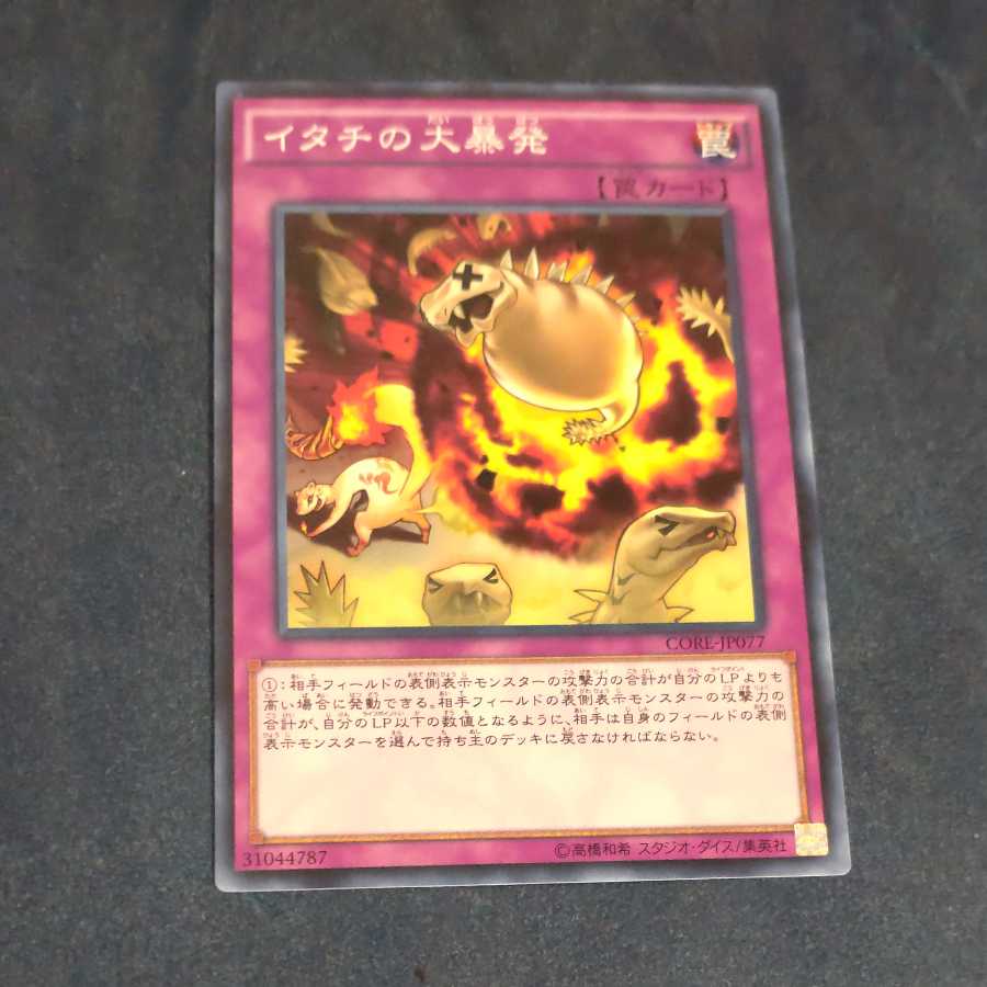 イタチの大暴発 【木林堂】