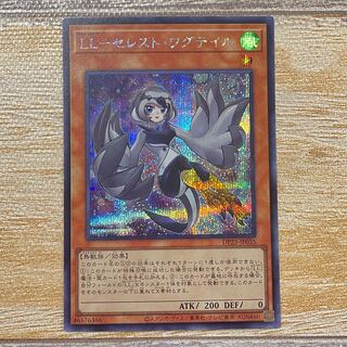 LL-Celeste Wagtail Secret