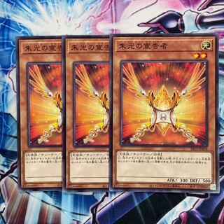 Herald of Orange Light Vermillion Declarer, normal, 3 copies, special price