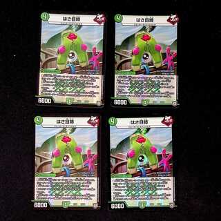 DM Hasame sister, set of 4 (①)