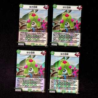 DM Hasame sister, set of 4 (3)