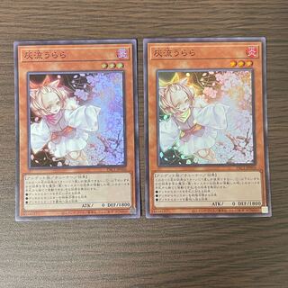 Ash Blossom & Joyous Spring Super