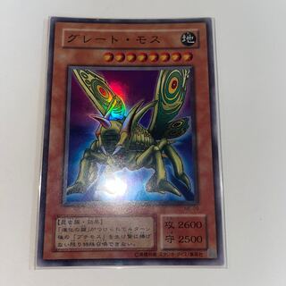 Great Moth Super 2nd term