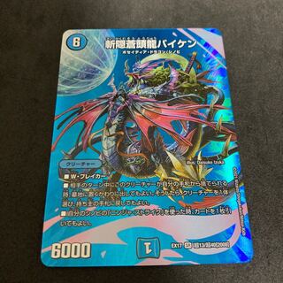 Zan'yaku Sotouryu Baiken