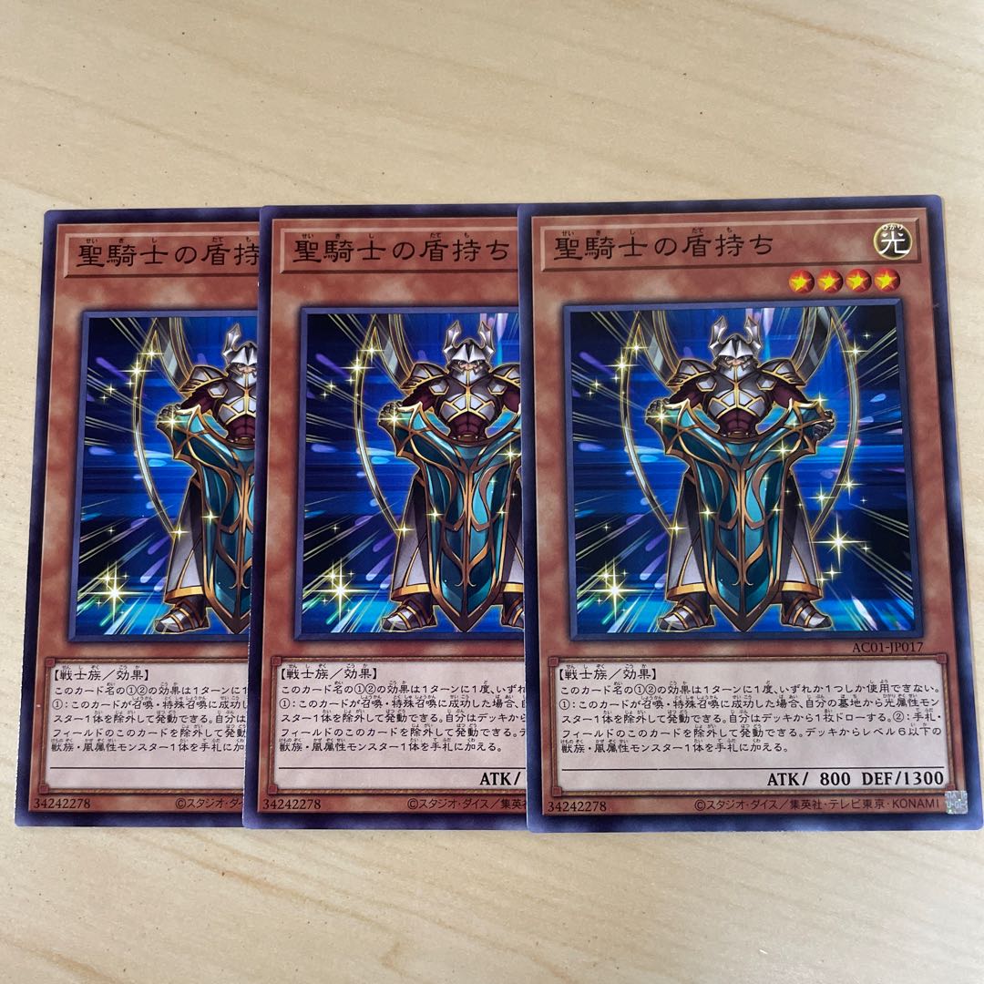 Noble Knight's Shield-Bearer♧1827