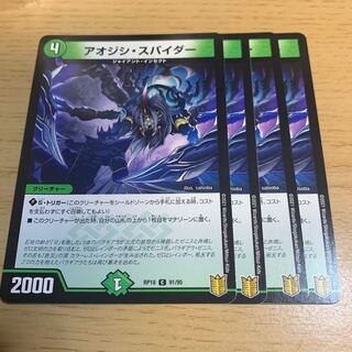 blue-spotted spider (Ctenochaetus vanderbilti)