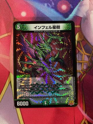 Infelix star tree (species of sedge, Infelix infertilis)