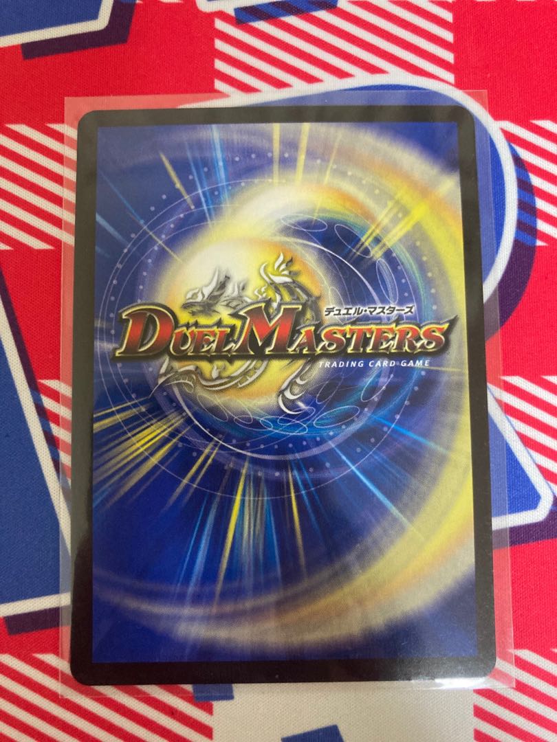 Knight of the Shield of the Absolute."