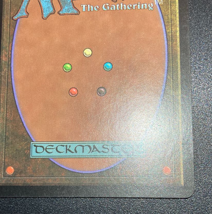 GURU LAND Forest GURU LAND Forest