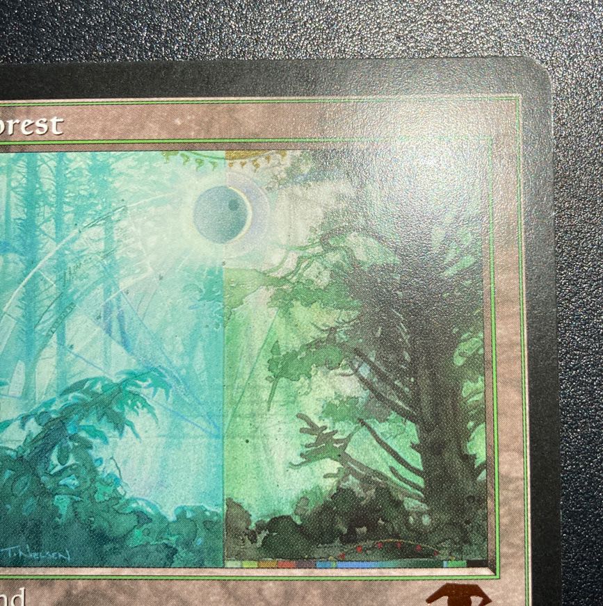 GURU LAND Forest GURU LAND Forest