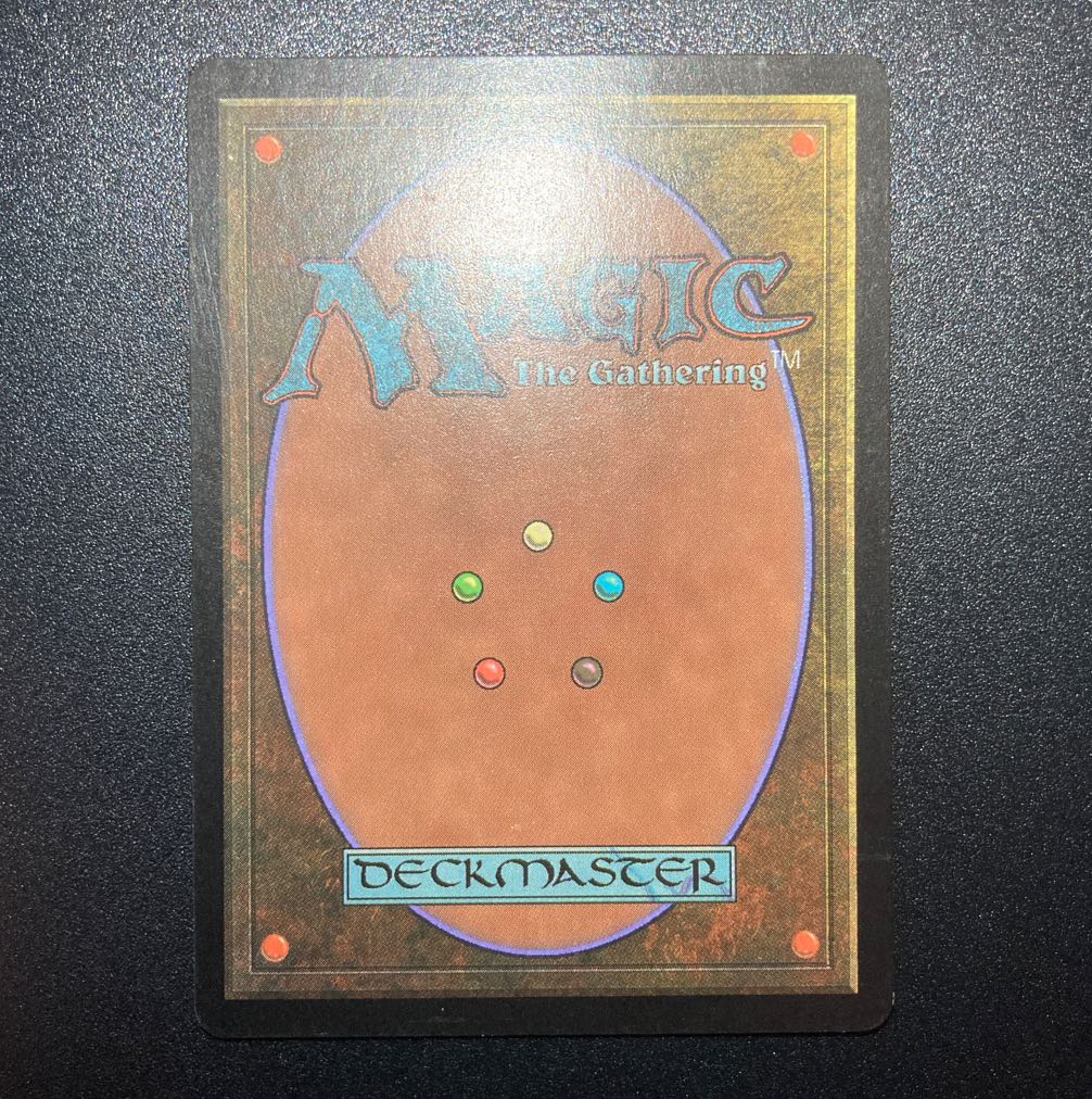 GURU LAND Forest GURU LAND Forest