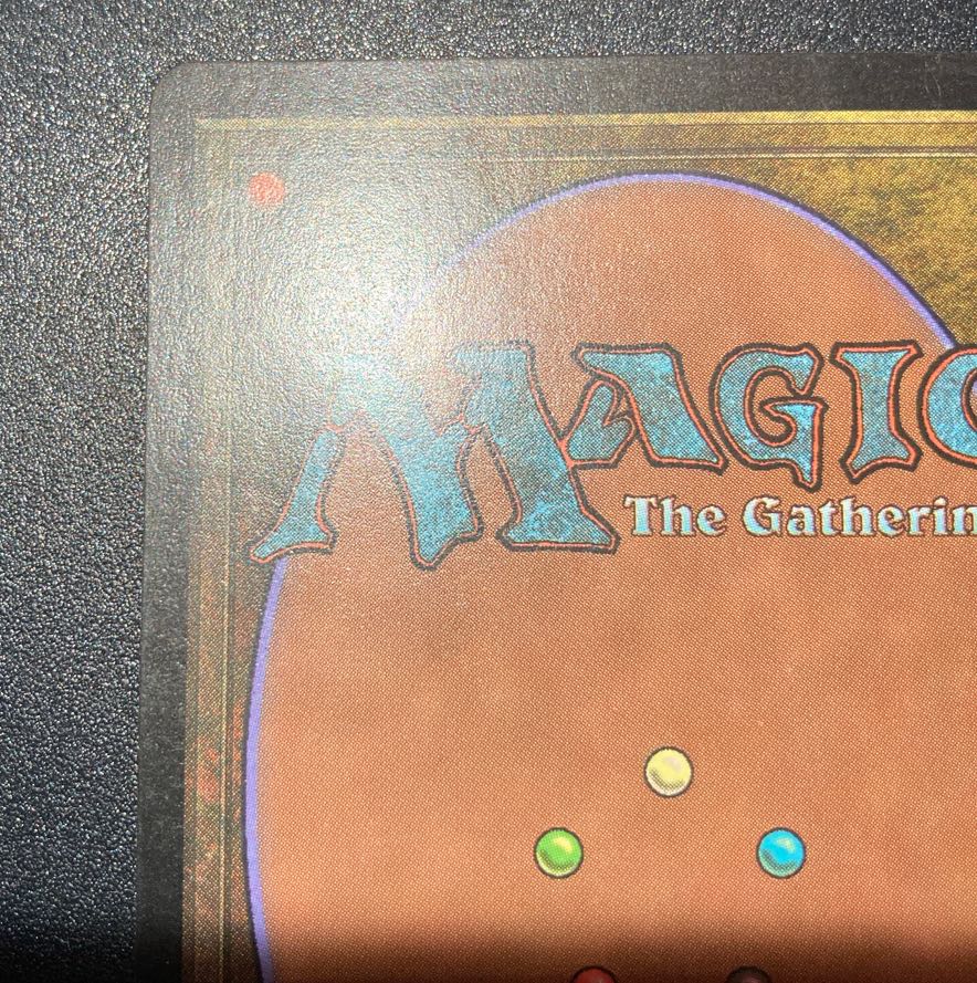 GURU LAND Forest GURU LAND Forest