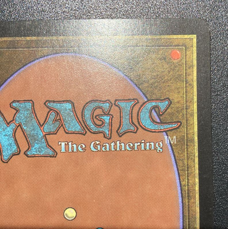 GURU LAND Forest GURU LAND Forest