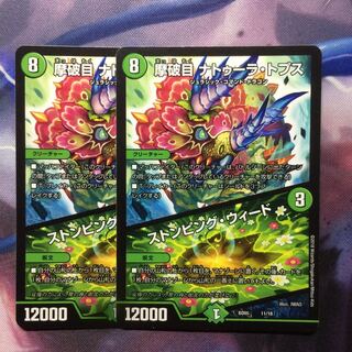 デュエマ ナトゥーラトプス/ストンピングウィード